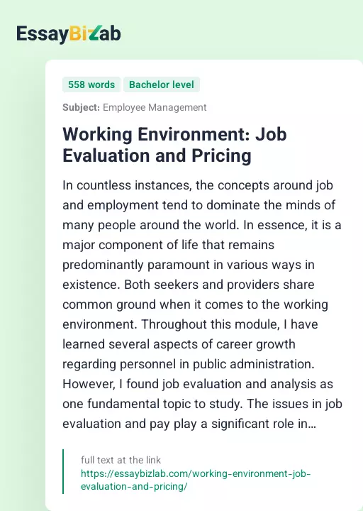 Working Environment: Job Evaluation and Pricing - Essay Preview
