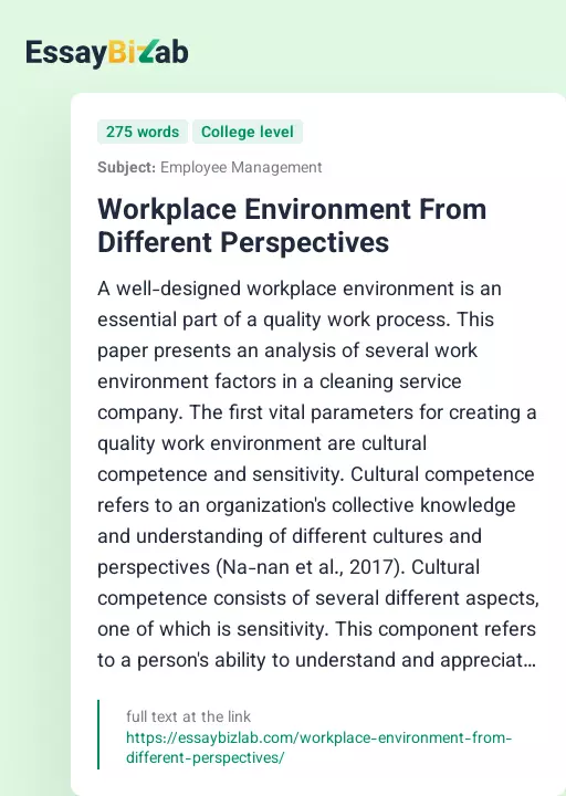 Workplace Environment From Different Perspectives - Essay Preview