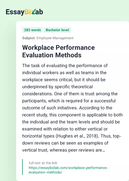 Workplace Performance Evaluation Methods - Essay Preview
