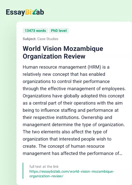World Vision Mozambique Organization Review - Essay Preview