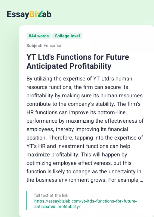 YT Ltd's Functions for Future Anticipated Profitability - Essay Preview