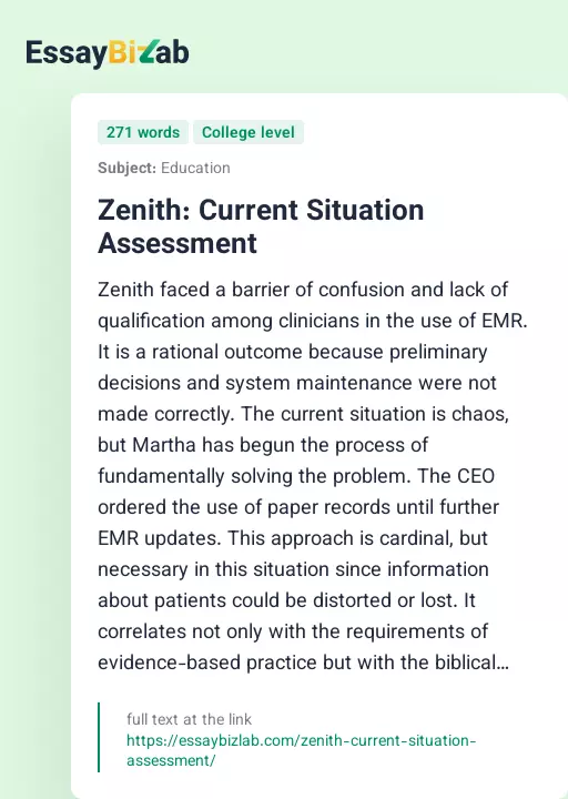 Zenith: Current Situation Assessment - Essay Preview