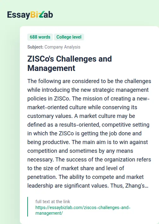 ZISCo's Challenges and Management - Essay Preview