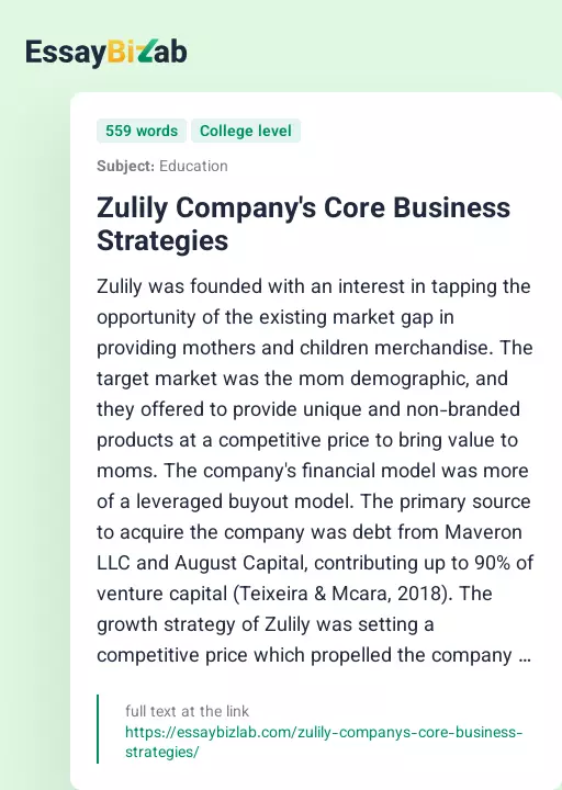 Zulily Company's Core Business Strategies - Essay Preview